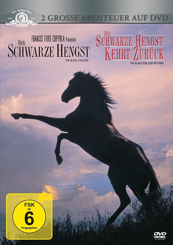 Der schwarze Hengst / Der schwarze Hengst kehrt zurück [2 DVDs] DVD