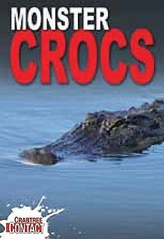 Monster Crocs