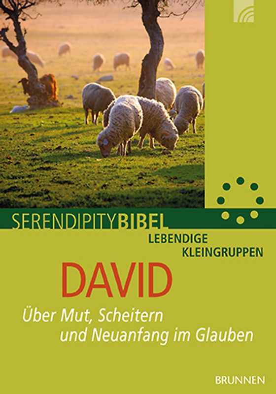 David. Über Mut, Scheitern und Neuanfang im Glauben
