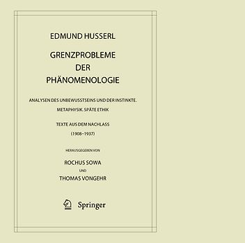 Grenzprobleme der Phänomenologie