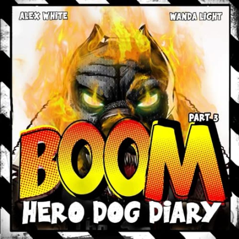 Hero Dog Diary : BOOM: (Illustrated & Inspiring book for 5-10 year old boys, who want to be a hero one day) PART3 (Hero Dog Diary : 4 PARTS, Band 3)