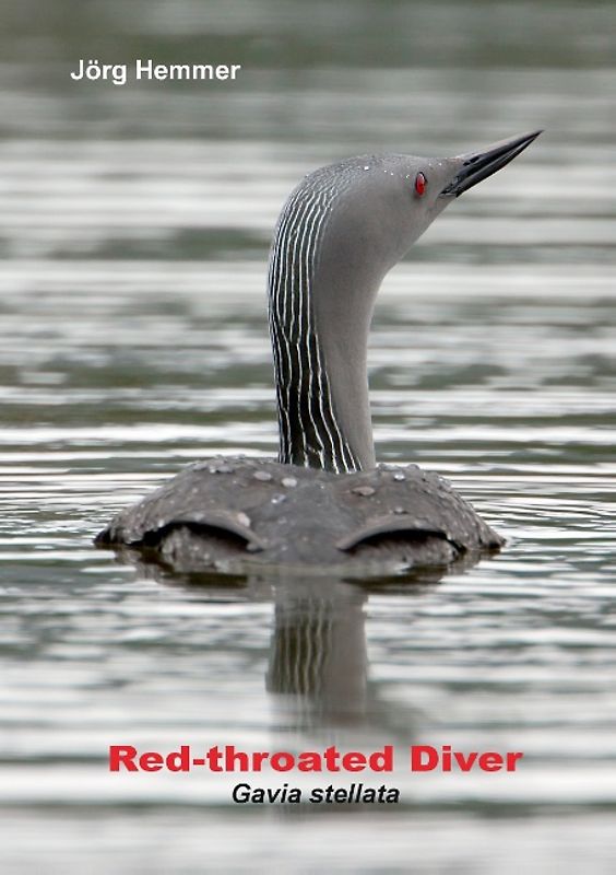 Red-throated Diver