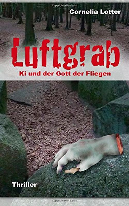 Luftgrab - Ki und der Gott der Fliegen - Lotter, Cornelia