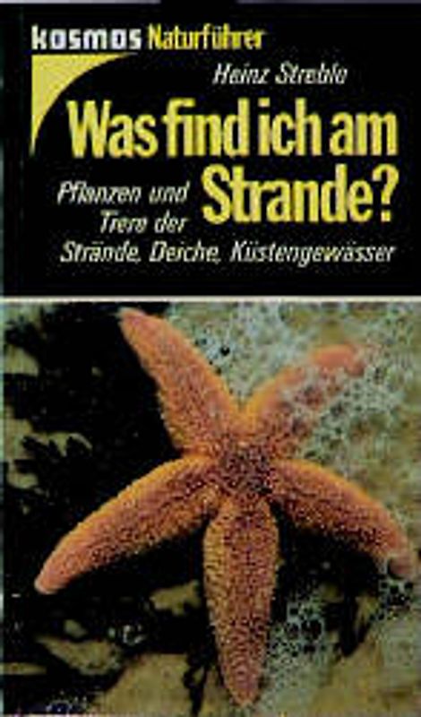 Was find ich am Strande?