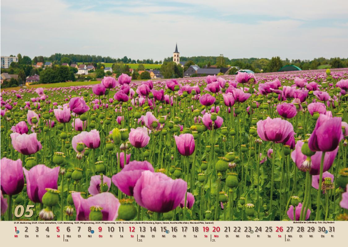 Einmachen & Co. Ratgeber und Handbuch rund ums Einmachen. Das Einmachbuch von Nordzucker