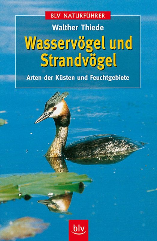 Wasservögel und Strandvögel