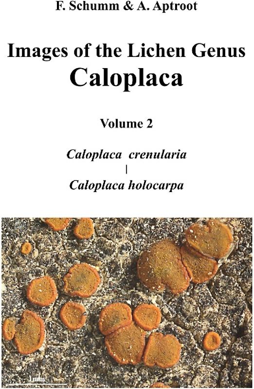 Images of the Lichen Genus Caloplaca, Vol 2