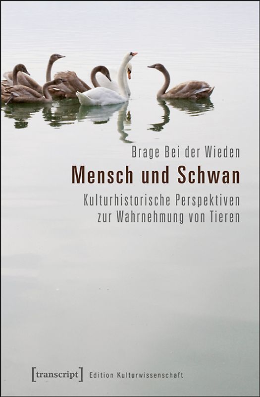 Mensch und Schwan