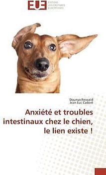 Anxiété et troubles intestinaux chez le chien, le lien existe !