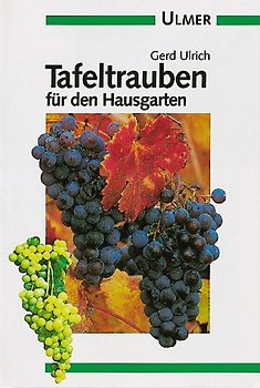 Tafeltrauben für den Hausgarten