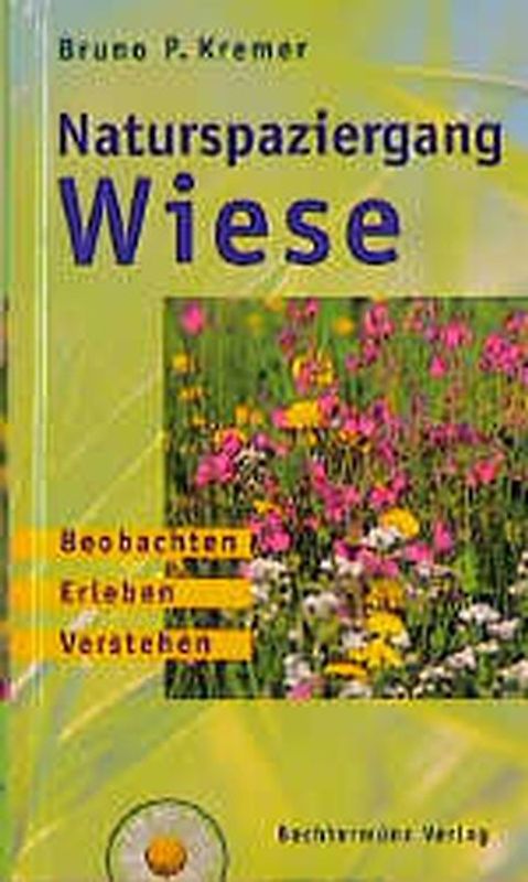 Naturspaziergang Wiese