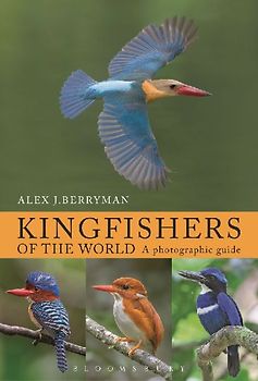 Kingfishers of the World