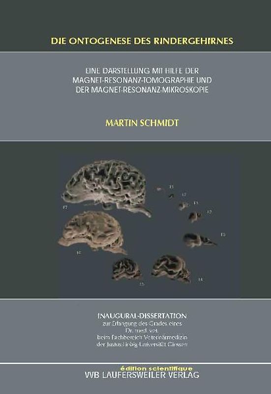 Die Ontogenese des Rindergehirnes