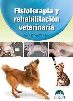 Fisioterapia Y Rehabilitación