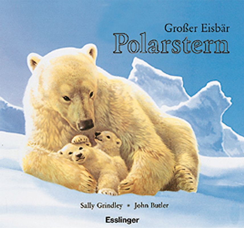 Grosser Eisbär Polarstern