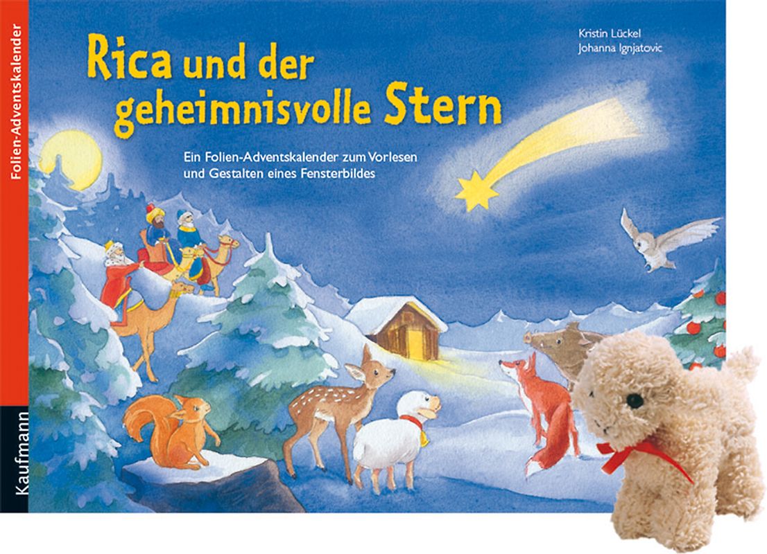 Rica und der geheimnisvolle Stern