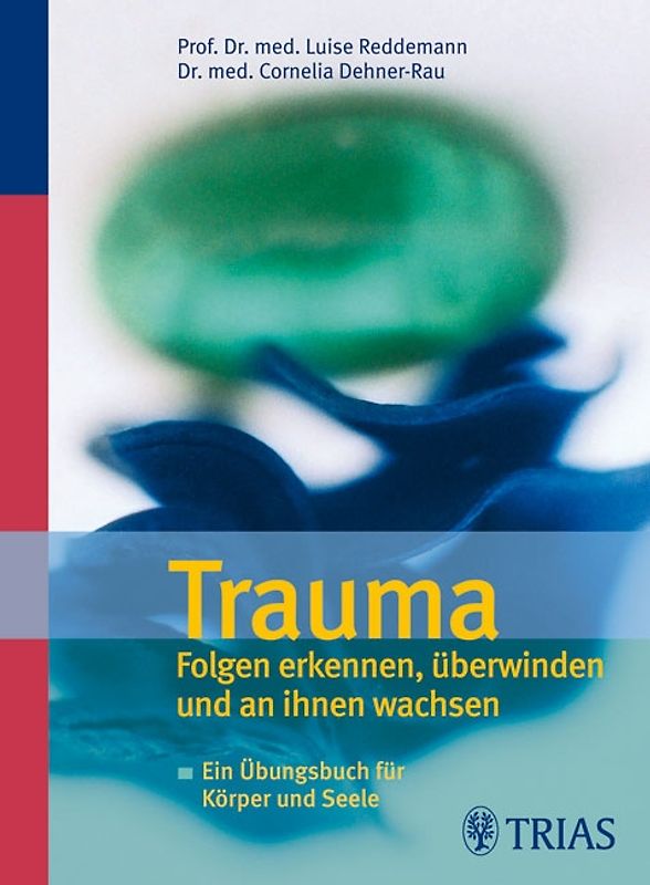 Trauma  Folgen erkennen, überwinden und an ihnen wachsen