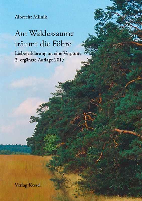 Am Waldessaume träumt die Föhre