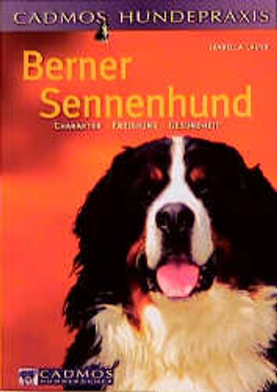 Berner Sennenhund