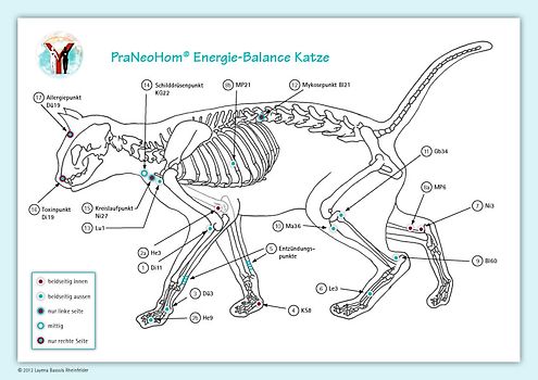 Akupunktur-Tafel Katze. PraNeoHom® Energiebalance durch Heilen mit Zeichen