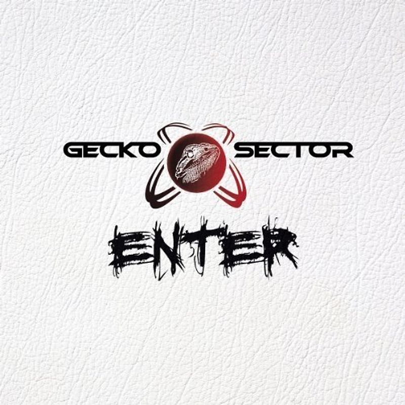 Gecko Sector - Enter