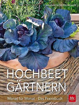 Hochbeet-Gärtnern Monat für Monat