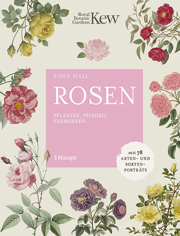 Rosen