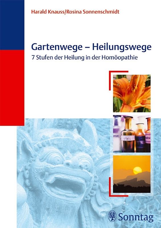 Heilungsprozesse in der Homöopathie