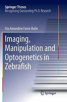 Imaging, Manipulation and Optogenetics in Zebrafish