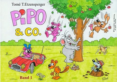 PiPO &amp; Co