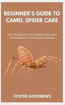 BEGINNER'S GUIDE TO CAMEL SPIDER CARE: How To Care For Your Spiders Like A Pro, From Selection To Routine Checkups