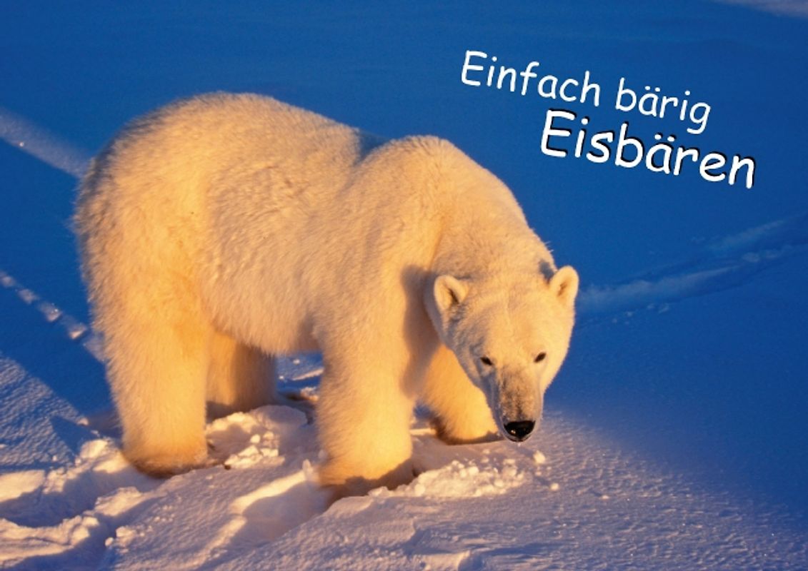 Einfach bärig: Eisbären (Posterbuch DIN A3 quer)