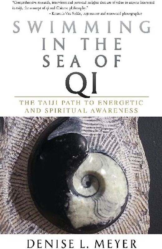 Swimming in the Sea of Qi