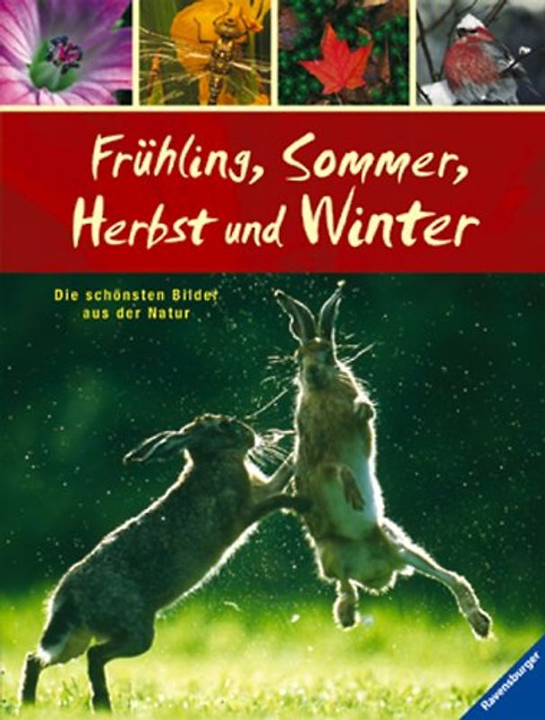 Frühling, Sommer, Herbst und Winter