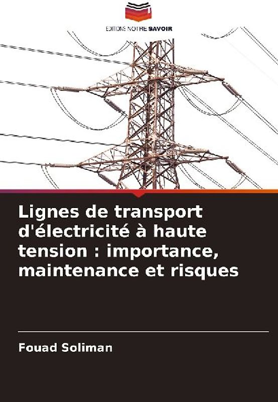 Lignes de transport d'électricité à haute tension : importance, maintenance et risques