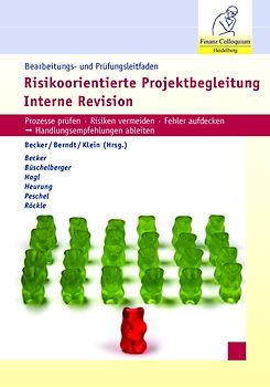 Bearbeitungs- und Prüfungsleitfaden Risikoorientierte Projektbegleitung Interne Revision