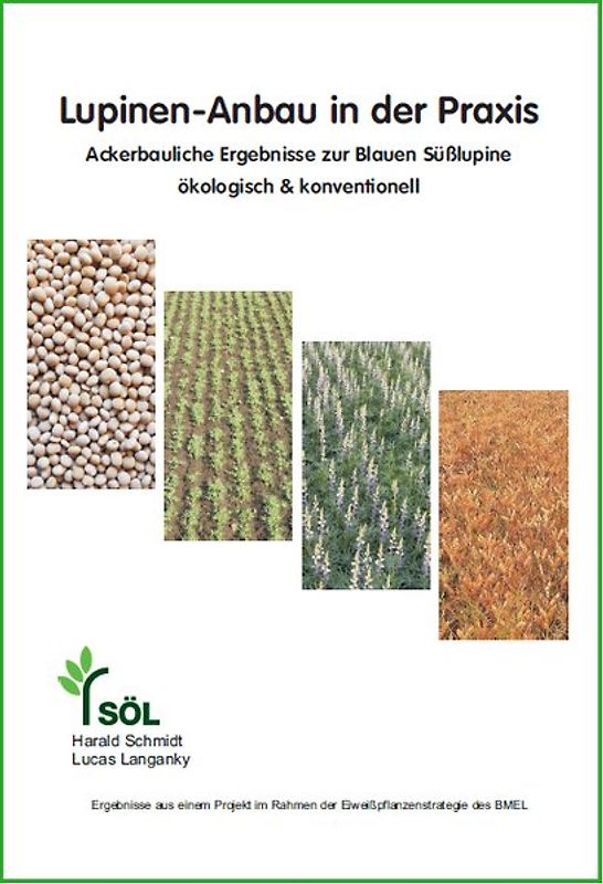 Lupinen-Anbau in der Praxis