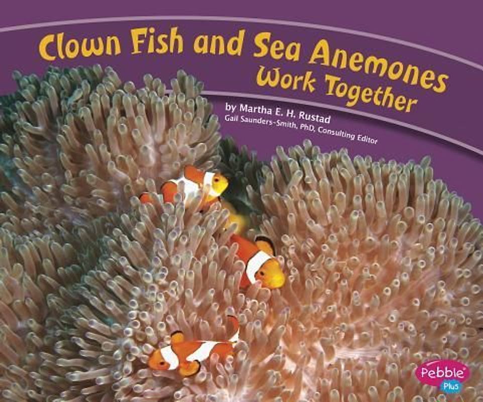 Clown Fish and Sea Anemones Work Together