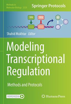 Modeling Transcriptional Regulation
