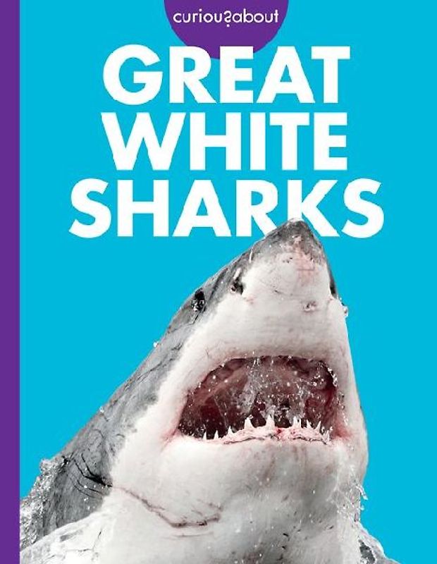 Curious about Great White Sharks