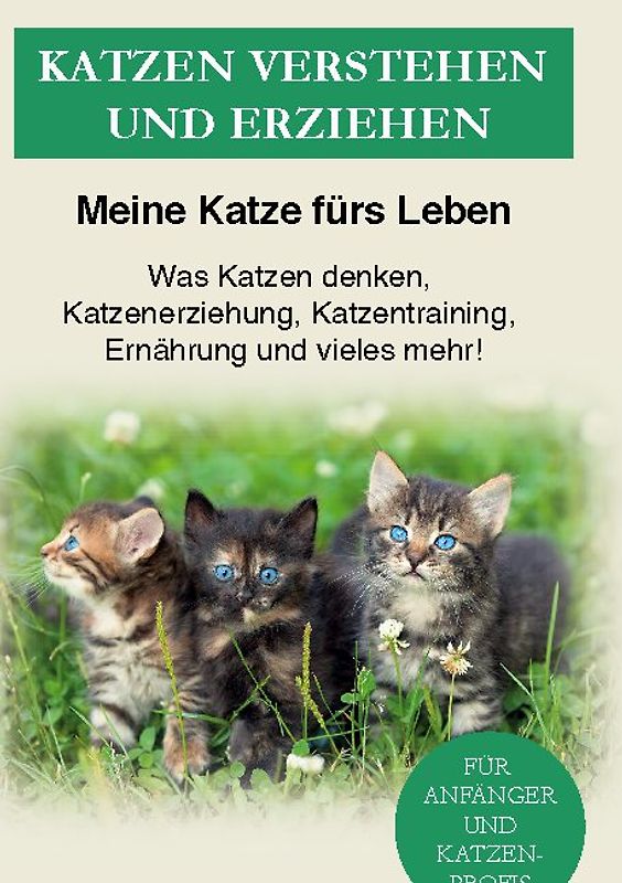 Katzen verstehen und erziehen
