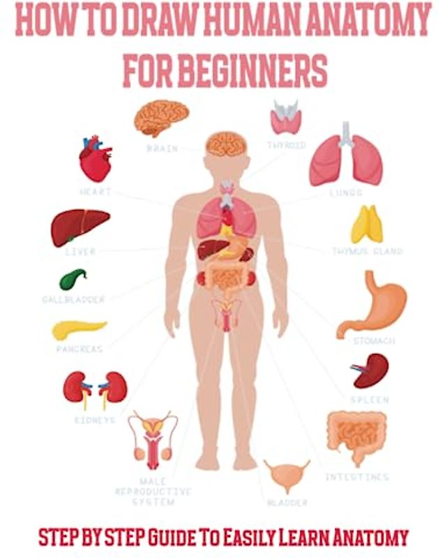 How To Draw Human Anatomy for Beginners: STEP BY STEP Guide To Easily Learn Anatomy. 50 Body Organe to Replicate. Large Print 8.5*11 in