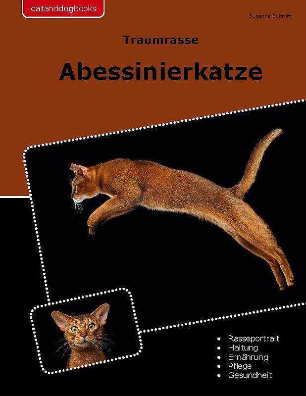 Traumrasse Abessinierkatze