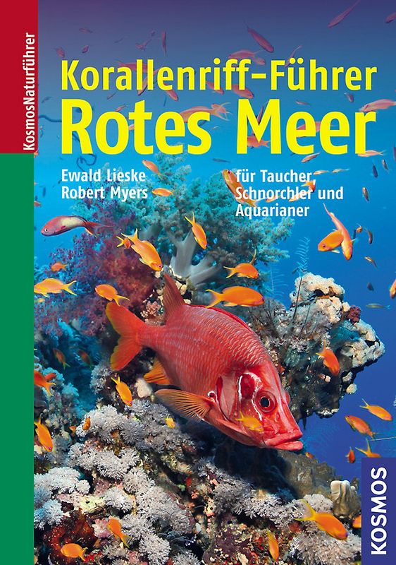 Korallenriff-Führer Rotes Meer