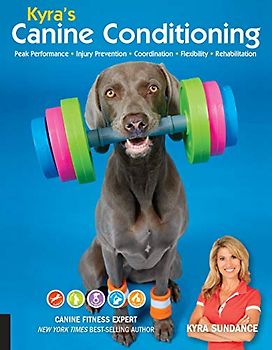 Kyra's Canine Conditioning