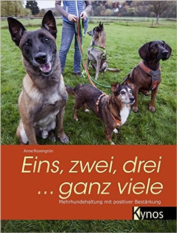 Eins, zwei, drei ... ganz viele