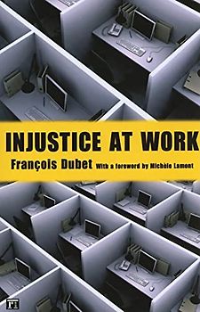 Injustice at Work (The Yale Cultural Sociology Series)
