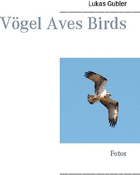 Vögel Aves Birds