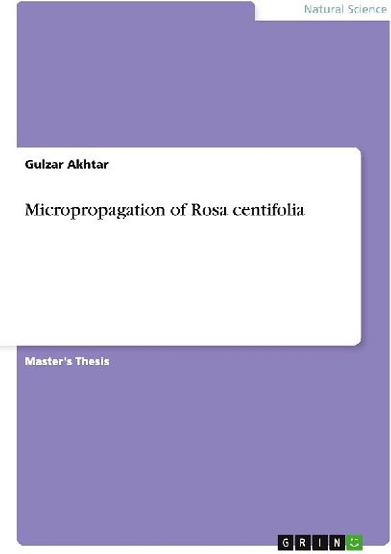 Micropropagation of Rosa centifolia