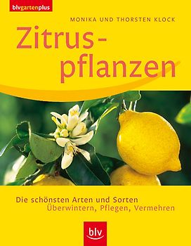 Zitruspflanzen